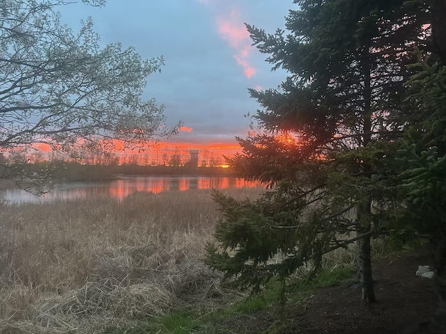 4505 Victor Path Unit 7, Hugo, MN 55038 - water view