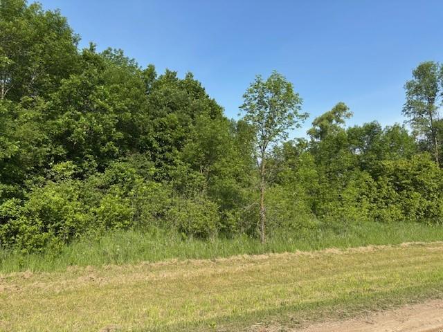 TBD Severson NW, Evansville, MN 56326 - photo 2