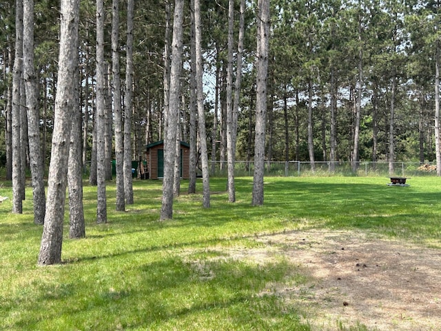 905 Fair Ave, Park Rapids, MN 56470 - view of yard with an outbuilding