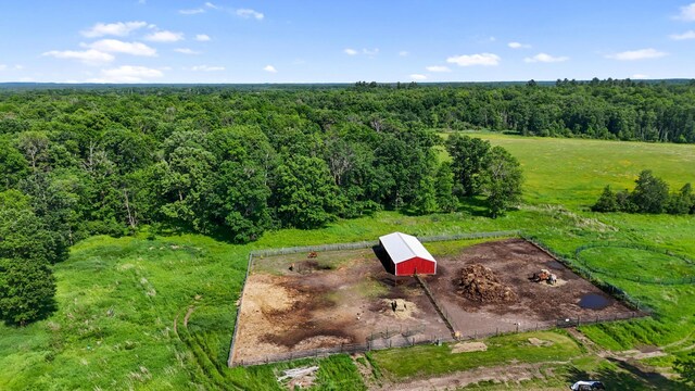6070 County Road 1 SW, Pequot Lakes, MN 56472 - photo 28