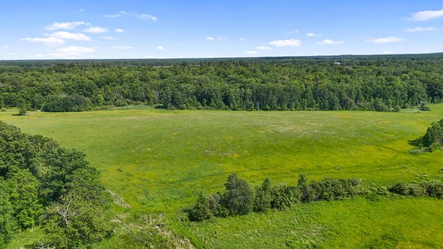 6070 County Road 1 SW, Pequot Lakes, MN 56472 - photo 35