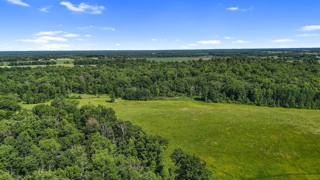6070 County Road 1 SW, Pequot Lakes, MN 56472 - photo 40