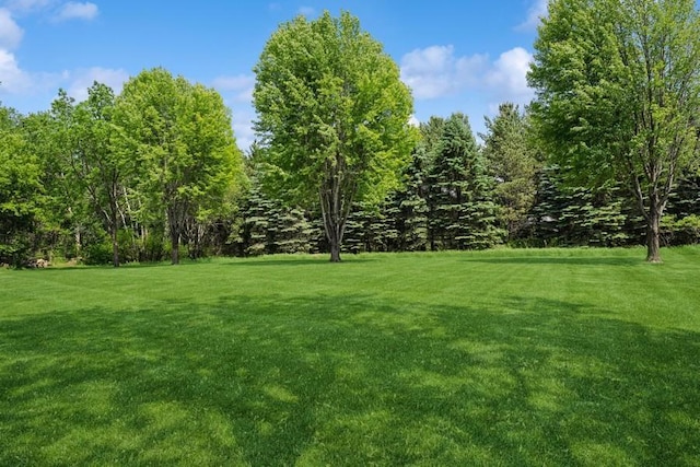 17575 Xenia St NW, Andover, MN 55304 - view of grassy yard
