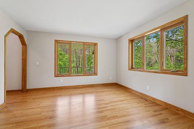 17575 Xenia St NW, Andover, MN 55304 - spare room featuring plenty of natural light, light wood-style flooring, and baseboards
