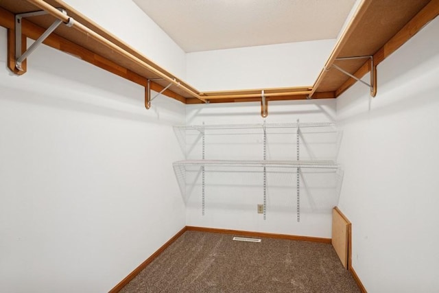 17575 Xenia St NW, Andover, MN 55304 - spacious closet with carpet flooring