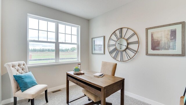 6573 209th St W, Farmington, MN 55024 - carpeted home office with baseboards and plenty of natural light