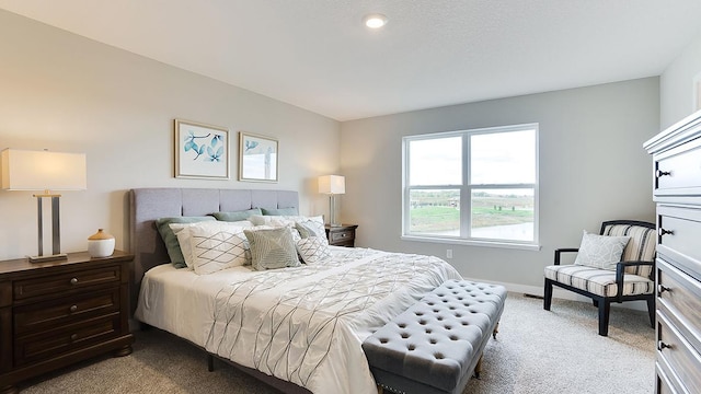 6573 209th St W, Farmington, MN 55024 - bedroom featuring carpet and baseboards