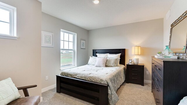 6573 209th St W, Farmington, MN 55024 - bedroom featuring light colored carpet and baseboards