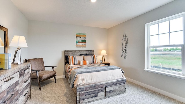 6573 209th St W, Farmington, MN 55024 - bedroom with baseboards and light colored carpet