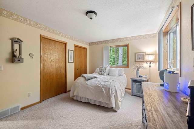 32157 County Road 39, Breezy Point, MN 56472 - bedroom featuring a textured ceiling, light carpet, and multiple closets