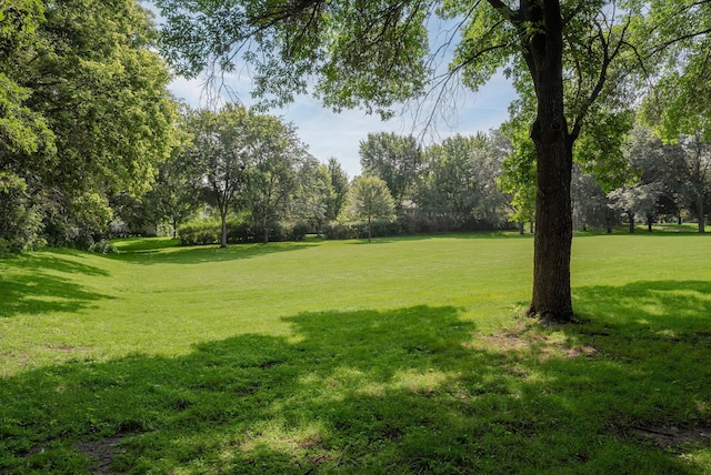 2011 122nd St Unit D24, Burnsville, MN 55337 - photo 19