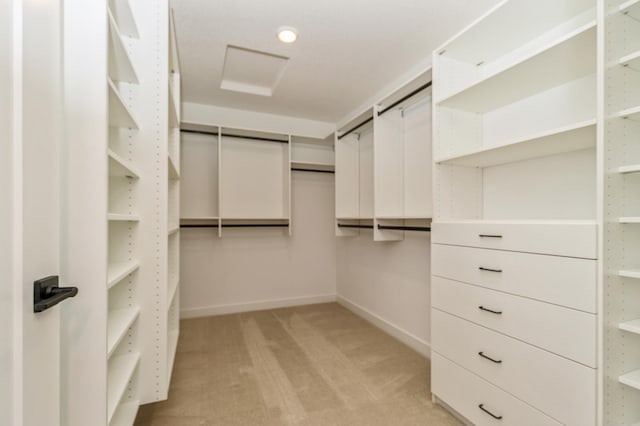 19908 67th Ave, Corcoran, MN 55340 - walk in closet with light carpet