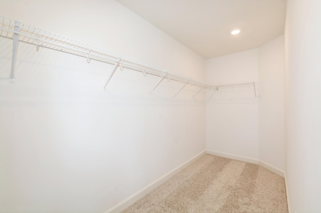 10485 Harbor Ln N, Maple Grove, MN 55369 - spacious closet with carpet flooring