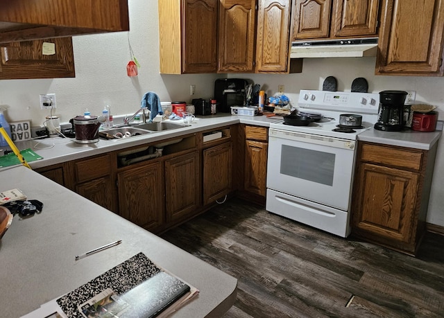 N7018/N7020 564th St, Red Cedar Twp, WI 54751 - kitchen featuring white electric stove, under cabinet range hood, light countertops, and a sink