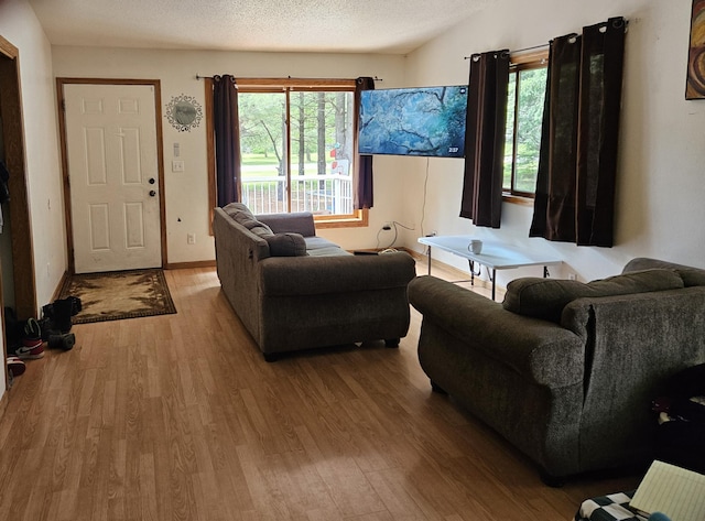N7018/N7020 564th St, Red Cedar Twp, WI 54751 - living room with wood finished floors, a textured ceiling, and baseboards