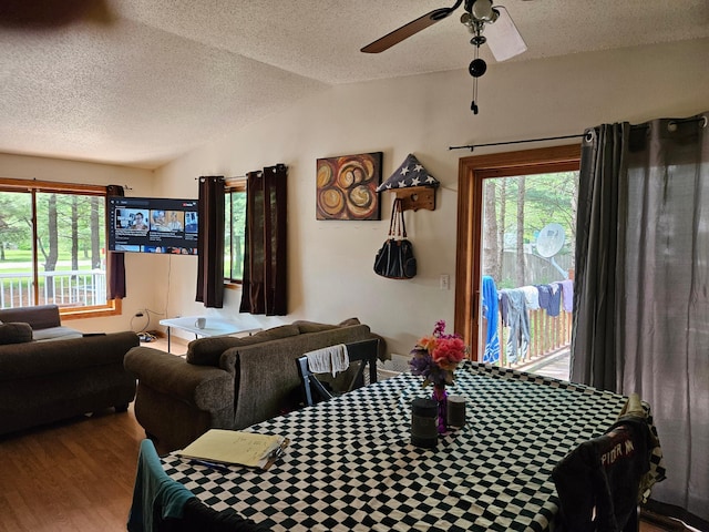 N7018/N7020 564th St, Red Cedar Twp, WI 54751 - dining space with ceiling fan, vaulted ceiling, plenty of natural light, wood finished floors, and a textured ceiling