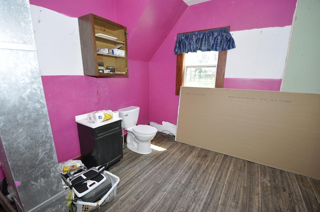 69198 235th St, Dexter, MN 55926 - half bath featuring wood finished floors and vaulted ceiling
