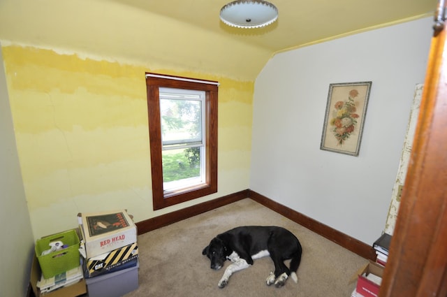 69198 235th St, Dexter, MN 55926 - interior space with lofted ceiling and carpet flooring