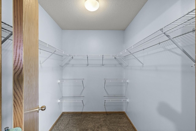 6956 Delarosa Ct, Inver Grove Heights, MN 55076 - walk in closet with carpet floors