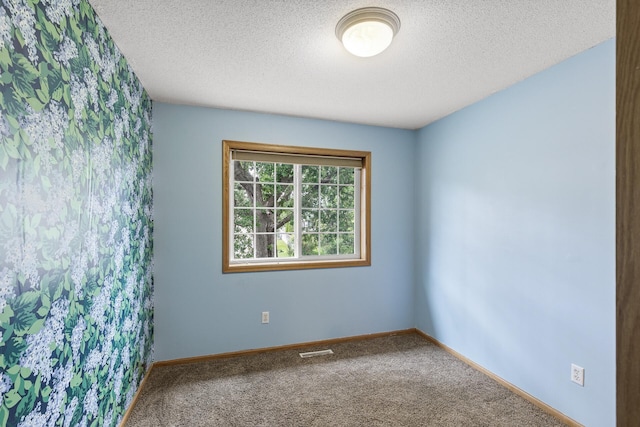 6956 Delarosa Ct, Inver Grove Heights, MN 55076 - empty room featuring a textured ceiling and carpet flooring