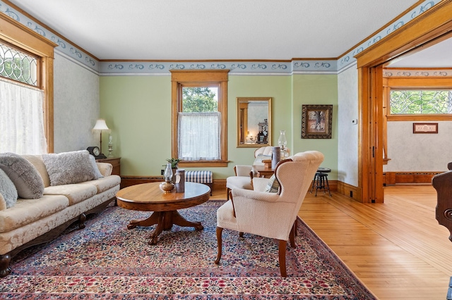 922 Fillmore St, Alexandria, MN 56308 - living area featuring wood finished floors, plenty of natural light, and ornamental molding