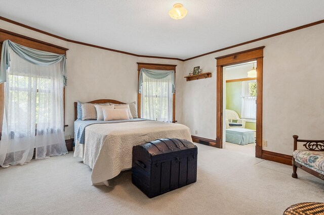 922 Fillmore St, Alexandria, MN 56308 - carpeted bedroom featuring ornamental molding, multiple windows, and ensuite bathroom