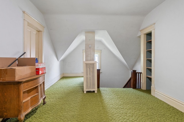 922 Fillmore St, Alexandria, MN 56308 - bonus room featuring carpet floors and vaulted ceiling
