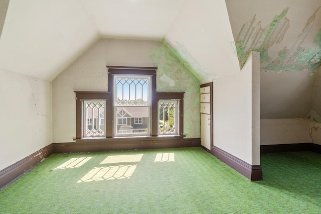 922 Fillmore St, Alexandria, MN 56308 - additional living space with carpet floors and lofted ceiling