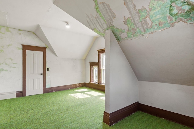 922 Fillmore St, Alexandria, MN 56308 - additional living space featuring carpet flooring and vaulted ceiling