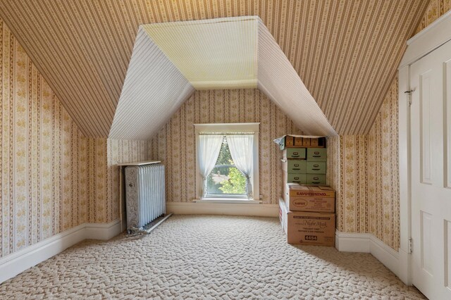 922 Fillmore St, Alexandria, MN 56308 - bonus room with vaulted ceiling, carpet, and wallpapered walls