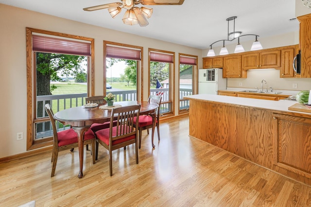 4195 25th St NE, Sauk Rapids, MN 56379 - dining room featuring ceiling fan and light wood-style flooring