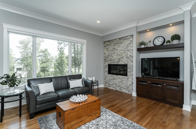 3039 Lady Slipper Ln SW, Rochester, MN 55902 - living room with crown molding, wood finished floors, and a fireplace