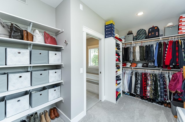 3039 Lady Slipper Ln SW, Rochester, MN 55902 - spacious closet with carpet floors