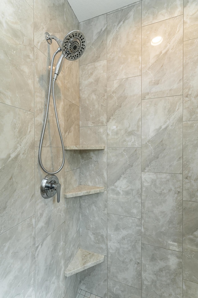 3039 Lady Slipper Ln SW, Rochester, MN 55902 - bathroom view of tiled shower
