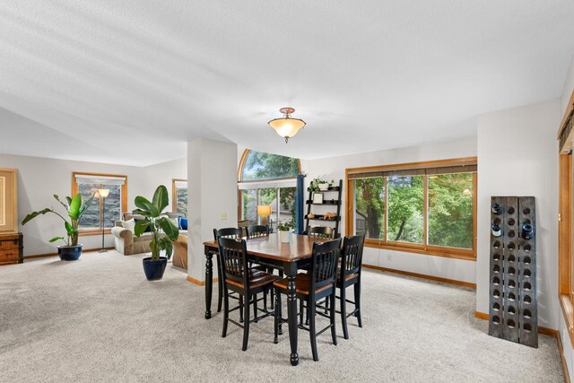 8850 Audubon Rd, Chanhassen, MN 55317 - photo 16