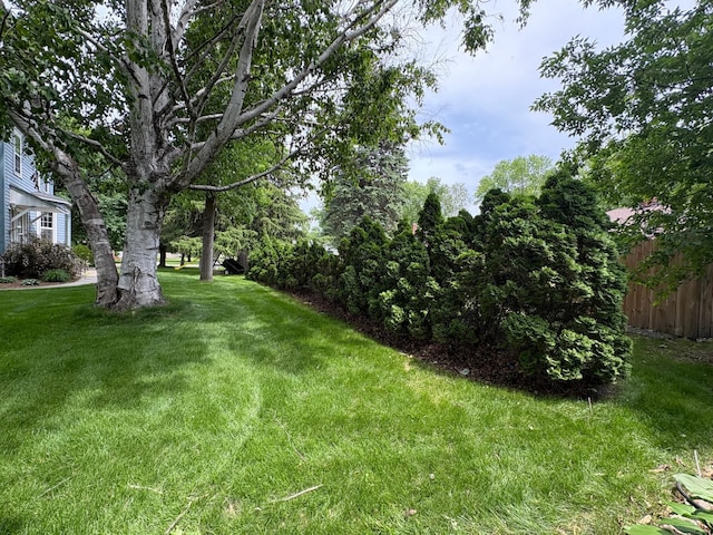 1710 Maple Ave, Benson, MN 56215 - view of yard