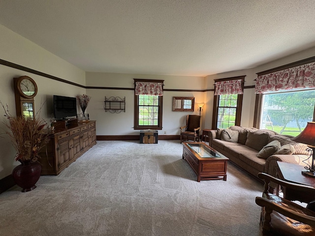 1710 Maple Ave, Benson, MN 56215 - carpeted living room with a textured ceiling