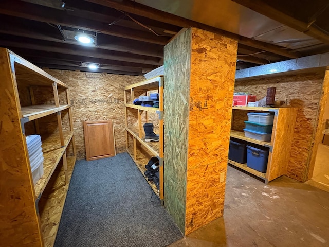 1710 Maple Ave, Benson, MN 56215 - view of storage