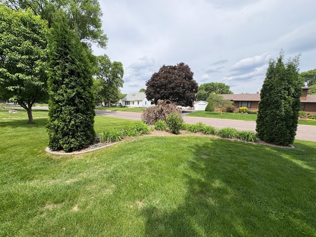 1710 Maple Ave, Benson, MN 56215 - view of grassy yard