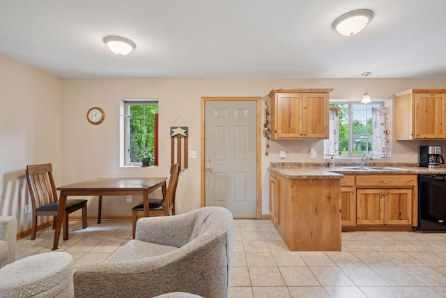 501 Lakeshore Blvd W, Onamia, MN 56359 - kitchen with dishwasher, a sink, healthy amount of natural light, and baseboards