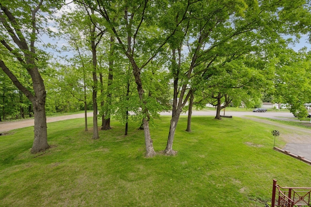 501 Lakeshore Blvd W, Onamia, MN 56359 - view of grassy yard