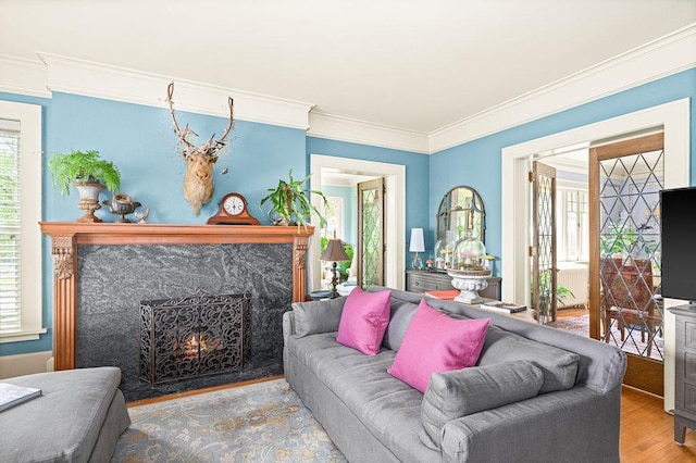 2401 5th St, Duluth, MN 55812 - living area with a premium fireplace, healthy amount of natural light, wood finished floors, crown molding, and radiator heating unit