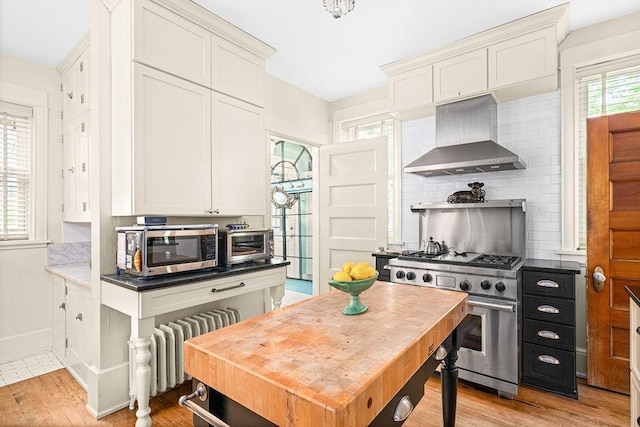 2401 5th St, Duluth, MN 55812 - kitchen with wall chimney range hood, appliances with stainless steel finishes, radiator, tasteful backsplash, and light wood finished floors