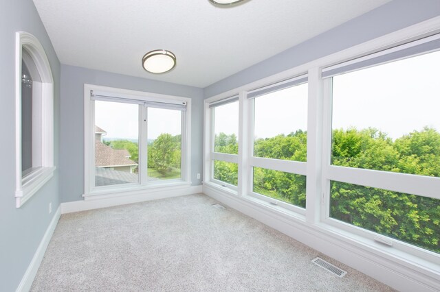 16530 57th Ave N, Plymouth, MN 55446 - photo 27
