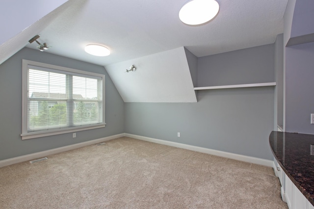 16530 57th Ave N, Plymouth, MN 55446 - photo 38