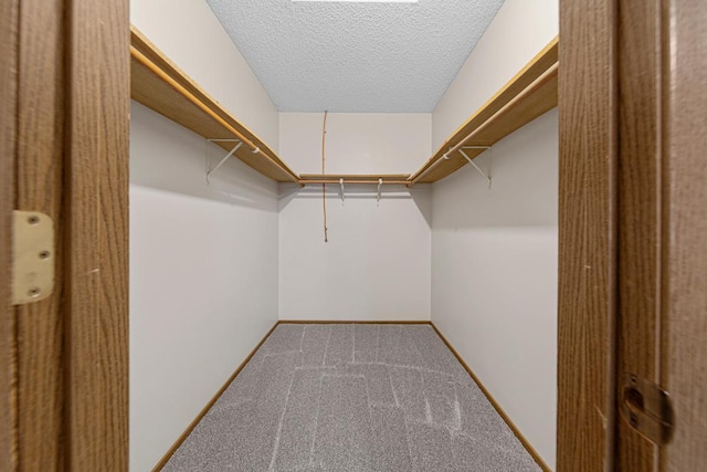 5214 148th St W, Apple Valley, MN 55124 - spacious closet with carpet