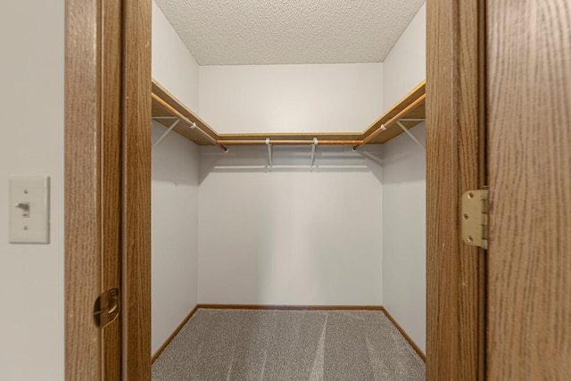 5214 148th St W, Apple Valley, MN 55124 - walk in closet with carpet floors