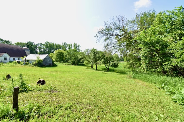 67433 325th St, Watkins, MN 55389 - view of grassy yard