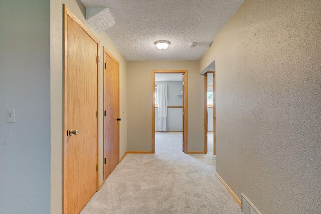 407 4th Ave NE, Kasson, MN 55944 - hall featuring a textured wall, light colored carpet, and a textured ceiling
