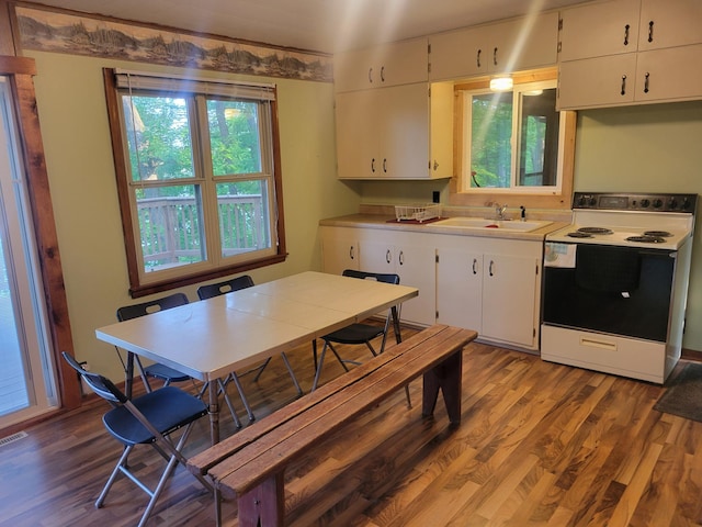 1981 Long Lake Ln, Johnstown Twp, WI 54826 - kitchen featuring white electric range oven, a sink, wood finished floors, and white cabinets